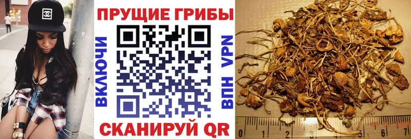 Псилоцибиновые грибы Magic Shrooms  мориарти телеграм  Липецк  мега ТОР 